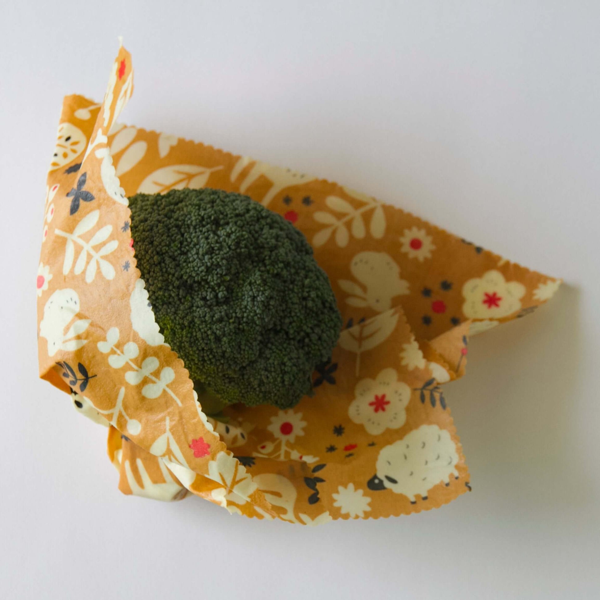 broccoli wrapped in Hanie beeswax wrap 